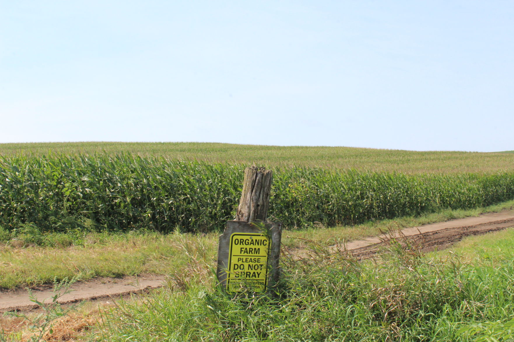 Organic sign